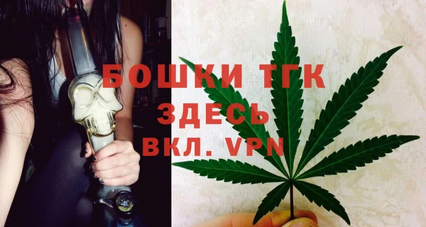 тгк Ладушкин
