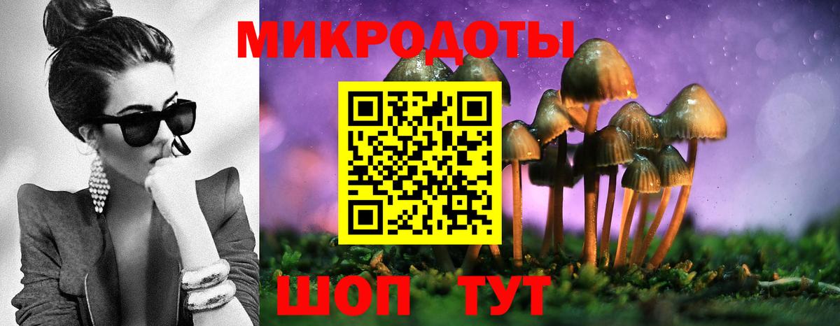 Канаш  Псилоцибиновые грибы Psilocybine cubensis  Вход с VPN 